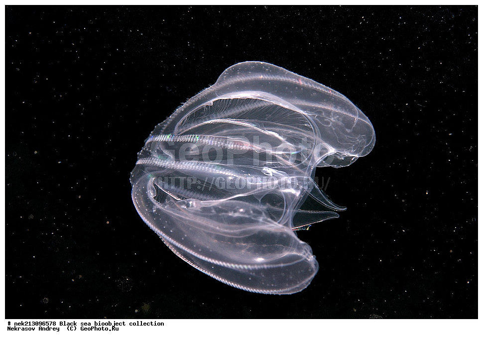 ������ ����, ����������, ���������, ����, ��������, ��������� ������, ���, ����, �����, �����, �����, �����, ��������, ��������, ����, ���������, ���, ��� �����, ���������, ��������� ����������, ���������, ���������, ��������� ���, ���������� ���������, �������, ������������, ������������, ������, ������ ����, ���������, ����������, ����������, ����, ����, ��������, ��������, ��������, ��������, ������ ����, ���-��������