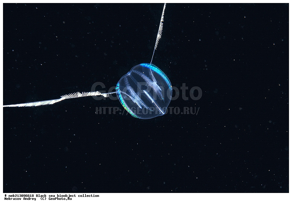 ������ ����, ����������, ���������, ����, ��������, ��������� ������, ���, ����, �����, �����, �����, �����, ��������, ��������, ����, ���������, ���, ��� �����, ���������, ��������� ����������, ���������, ���������, ��������� ���, ���������� ���������, �������, ������������, ������������, ������, ������ ����, ���������, ������������, ����������