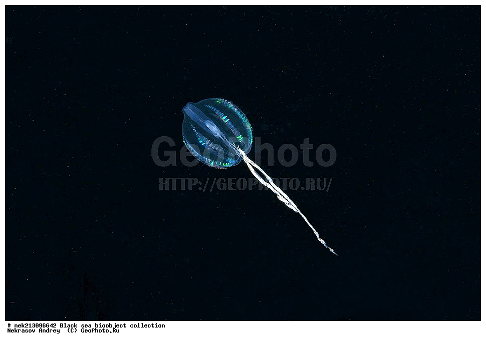 ������ ����, ����������, ���������, ����, ��������, ��������� ������, ���, ����, �����, �����, �����, �����, ��������, ��������, ����, ���������, ���, ��� �����, ���������, ��������� ����������, ���������, ���������, ��������� ���, ���������� ���������, �������, ������������, ������������, ������, ������ ����, ���������, ������������, ����������