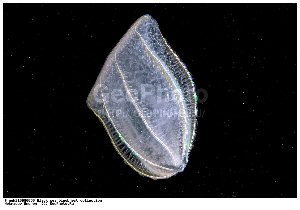 ������ ����, ����������, ���������, ����, ��������, ��������� ������, ���, ����, �����, �����, �����, �����, ��������, ��������, ����, ���������, ���, ��� �����, ���������, ��������� ����������, ���������, ���������, ��������� ���, ���������� ���������, �������, ������������, ������������, ������, ������ ����, ������, ���������, �����, ����������, ������, ����, ����, ��������, ��������, ��������, ��������, ������ ����, ���-��������