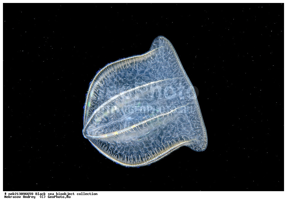 ������ ����, ����������, ���������, ����, ��������, ��������� ������, ���, ����, �����, �����, �����, �����, ��������, ��������, ����, ���������, ���, ��� �����, ���������, ��������� ����������, ���������, ���������, ��������� ���, ���������� ���������, �������, ������������, ������������, ������, ������ ����, ������, ���������, �����, ����������, ������, ����, ����, ��������, ��������, ��������, ��������, ������ ����, ���-��������