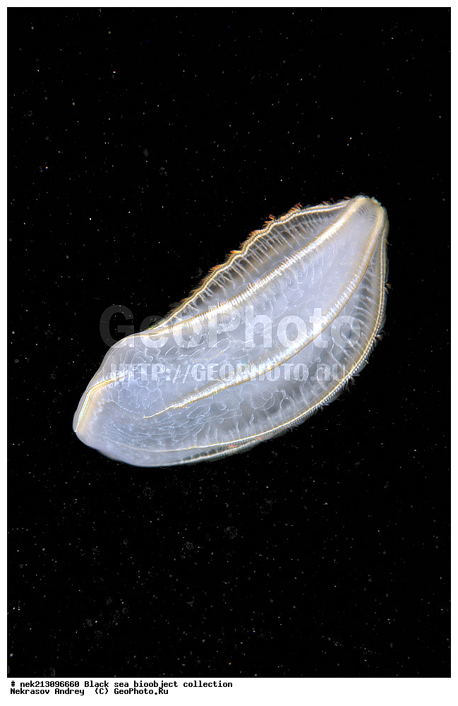 ������ ����, ����������, ���������, ����, ��������, ��������� ������, ���, ����, �����, �����, �����, �����, ��������, ��������, ����, ���������, ���, ��� �����, ���������, ��������� ����������, ���������, ���������, ��������� ���, ���������� ���������, �������, ������������, ������������, ������, ������ ����, ������, ���������, �����, ����������, ������, ����, ����, ��������, ��������, ��������, ��������, ������ ����, ���-��������