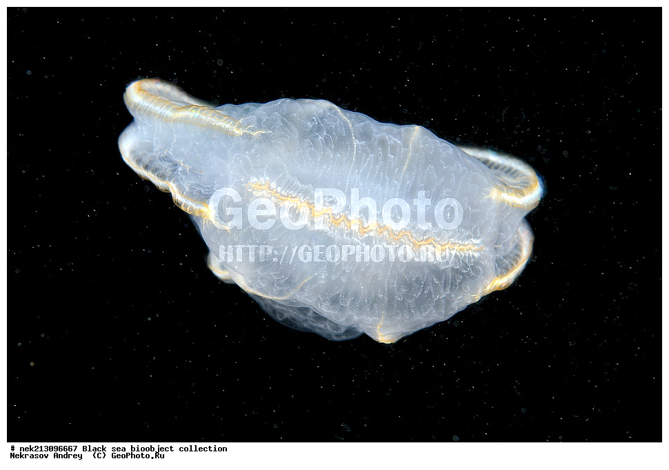 ������ ����, ����������, ���������, ����, ��������, ��������� ������, ���, ����, �����, �����, �����, �����, ��������, ��������, ����, ���������, ���, ��� �����, ���������, ��������� ����������, ���������, ���������, ��������� ���, ���������� ���������, �������, ������������, ������������, ������, ������ ����, ������, ���������, �����, ����������, ������, ����, ����, ��������, ��������, ��������, ��������, ������ ����, ���-��������