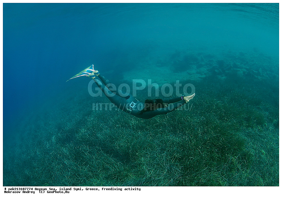 ����������, ������, ������, ����, ��������, ����, ���-�������, ����������, ���-������, ���������, �����, ���������, ���������, ��������� ��������, �������, �������������, �����, ����������, ����, ������� �����, ������� ����, �����, ���������, ����������, �������� ����, ������, ���������, ������, ����, �������, ����, ���������, ���������, ��������, ����������, ������������, ��������� ����������, ��������� ���, ������, ��� �����, ������, ����� ����, ������� ����