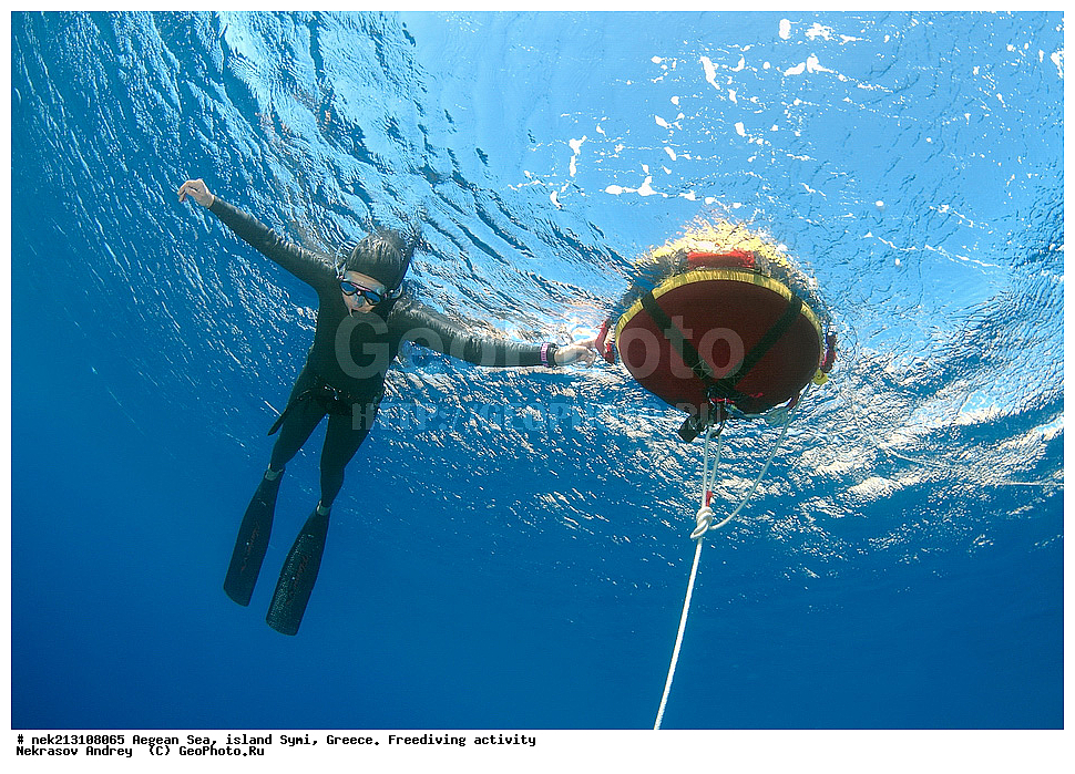 ����������, ������, ������, ����, ��������, ����, ���-�������, ����������, ���-������, ���������, �����, ���������, ���������, ��������� ��������, �������, �������������, �����, ����������, ����, ������� �����, ������� ����, �����, ���������, ����������, �������� ����, ������, ���������, ������, ����, �������, ����, ���������, ���������, ��������, ����������, ������������, ��������� ����������, ��������� ���, ������, ��� �����, ������, ����� ����, ������� ����, 