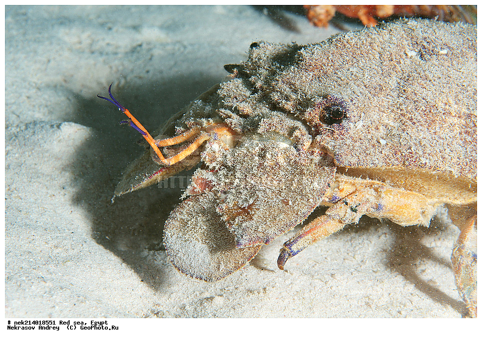 ������, ������� ����, ��������� ���, ���������, ���������, ��� �����, ����, �������, ���������, ����, �����, ������� ����, ����, �������