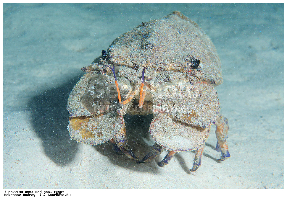 ������, ������� ����, ��������� ���, ���������, ���������, ��� �����, ����, �������, ���������, ����, �����, ������� ����, ����, �������