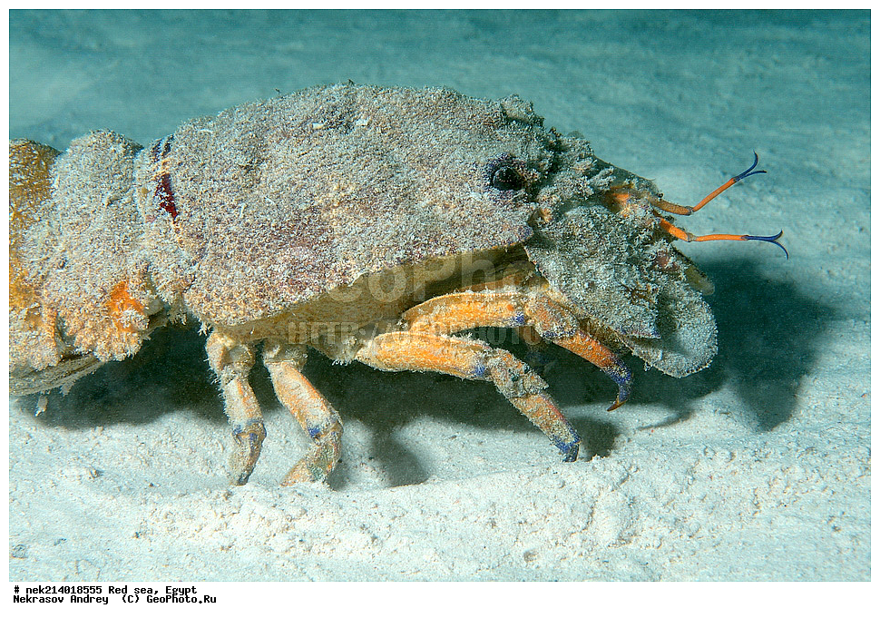 ������, ������� ����, ��������� ���, ���������, ���������, ��� �����, ����, �������, ���������, ����, �����, ������� ����, ����, �������