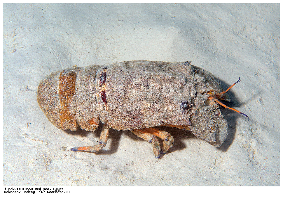 ������, ������� ����, ��������� ���, ���������, ���������, ��� �����, ����, �������, ���������, ����, �����, ������� ����, ����, �������