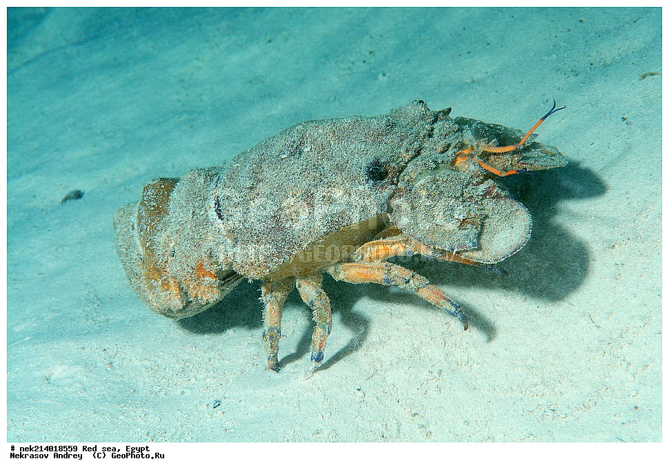 ������, ������� ����, ��������� ���, ���������, ���������, ��� �����, ����, �������, ���������, ����, �����, ������� ����, ����, �������