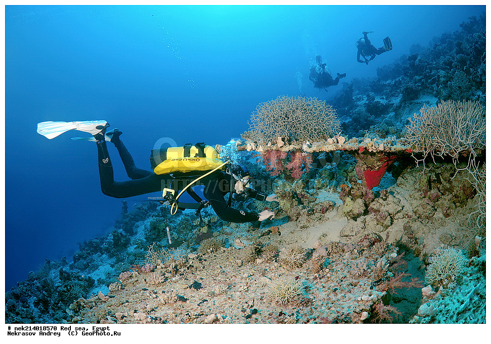 ������, ������� ����, ��������� ���, ���������, ���������, ��� �����, ����, �������, ���������, ����, �����, ������� ����, ����������, ���, ������, �������, ������, ��������