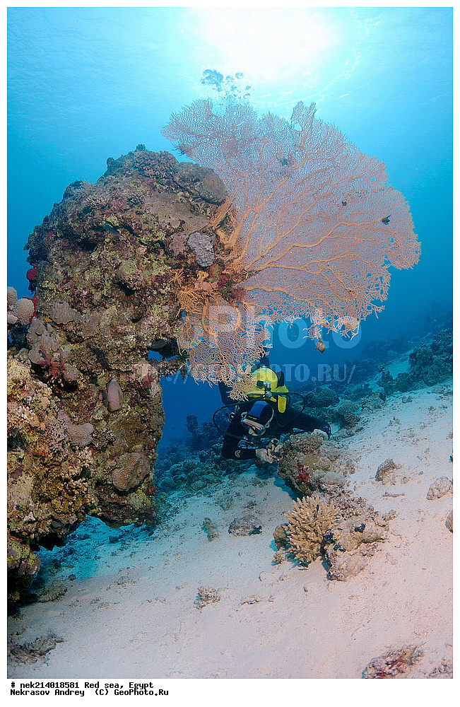 ������, ������� ����, ��������� ���, ���������, ���������, ��� �����, ����, �������, ���������, ����, �����, ������� ����, ����������, ���, ������, �������, ������, ��������