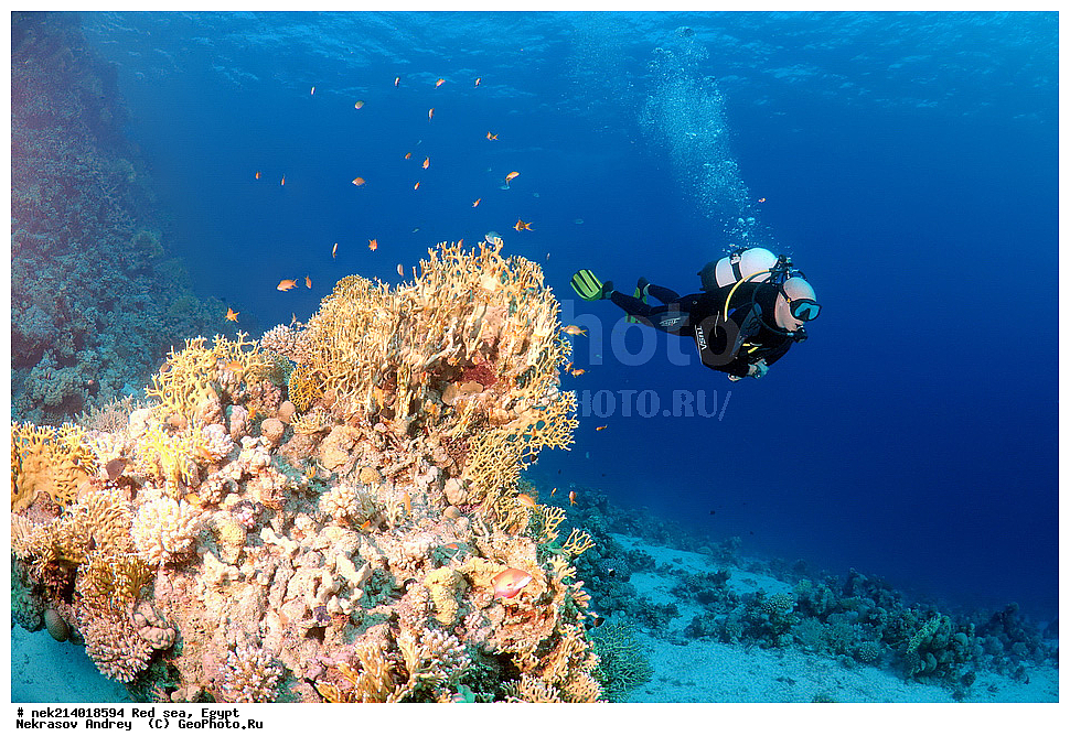 ������, ������� ����, ��������� ���, ���������, ���������, ��� �����, ����, �������, ���������, ����, �����, ������� ����, ����������, ���, ������, �������, ������, ��������