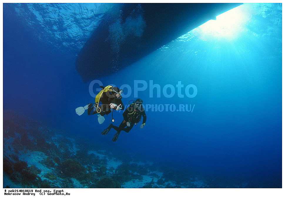 ������, ������� ����, ��������� ���, ���������, ���������, ��� �����, ����, �������, ���������, ����, �����, ������� ����, ���������� �����, ������, ��������, ���������, ����, �������, �����, ����� �� ����, �����, ����������, ����������, ����������, ���������� ������, �����������, ������������, �������, ���������������, �������, ��������,  ���, ���, ���-�������, ����, �����,   