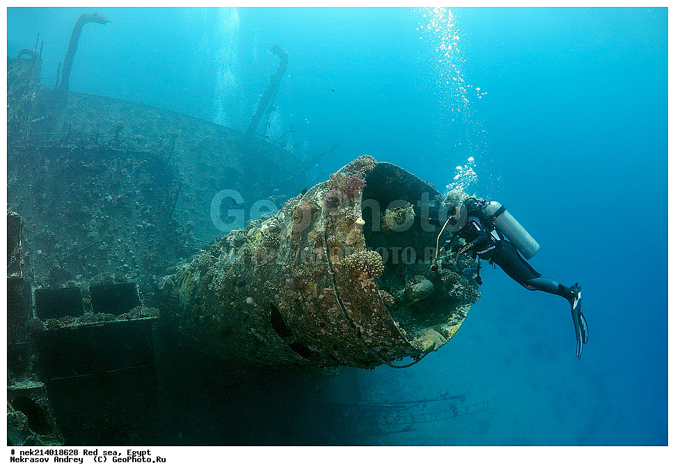 ������, ������� ����, ��������� ���, ���������, ���������, ��� �����, ����, �������, ���������, ����, �����, ������� ����, ���������� �����, ������, ��������, ���������, ����, �������, �����, ����� �� ����, �����, ����������, ����������, ����������, ���������� ������, �����������, ������������, �������, ���������������, �������, ��������,  ���, ���, ���-�������, ����, �����,   , ������ ��, ������ �