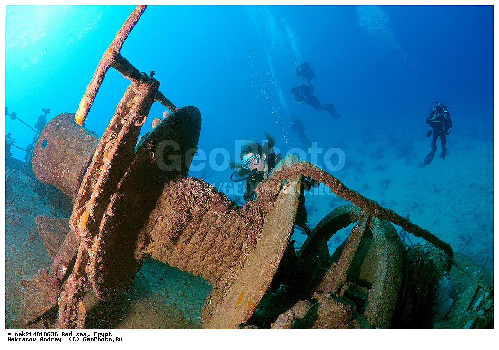 ������, ������� ����, ��������� ���, ���������, ���������, ��� �����, ����, �������, ���������, ����, �����, ������� ����, ���������� �����, ������, ��������, ���������, ����, �������, �����, ����� �� ����, �����, ����������, ����������, ����������, ���������� ������, �����������, ������������, �������, ���������������, �������, ��������,  ���, ���, ���-�������, ����, �����,   , ������ ��, ������ �