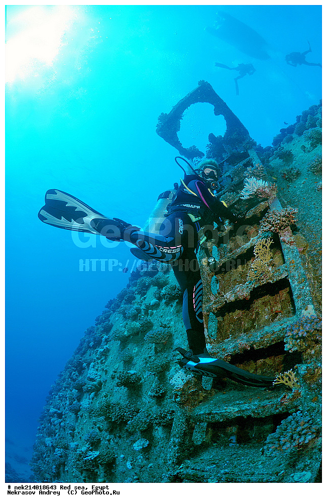 ������, ������� ����, ��������� ���, ���������, ���������, ��� �����, ����, �������, ���������, ����, �����, ������� ����, ���������� �����, ������, ��������, ���������, ����, �������, �����, ����� �� ����, �����, ����������, ����������, ����������, ���������� ������, �����������, ������������, �������, ���������������, �������, ��������,  ���, ���, ���-�������, ����, �����,   , ������ ��, ������ �