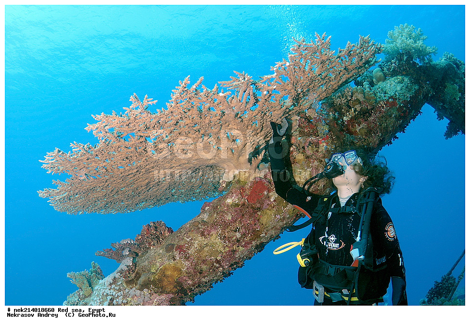 ������, ������� ����, ��������� ���, ���������, ���������, ��� �����, ����, �������, ���������, ����, �����, ������� ����, ���������� �����, ������, ��������, ���������, ����, �������, �����, ����� �� ����, �����, ����������, ����������, ����������, ���������� ������, �����������, ������������, �������, ���������������, �������, ��������,  ���, ���, ���-�������, ����, �����,   , ������ ��, ������ �