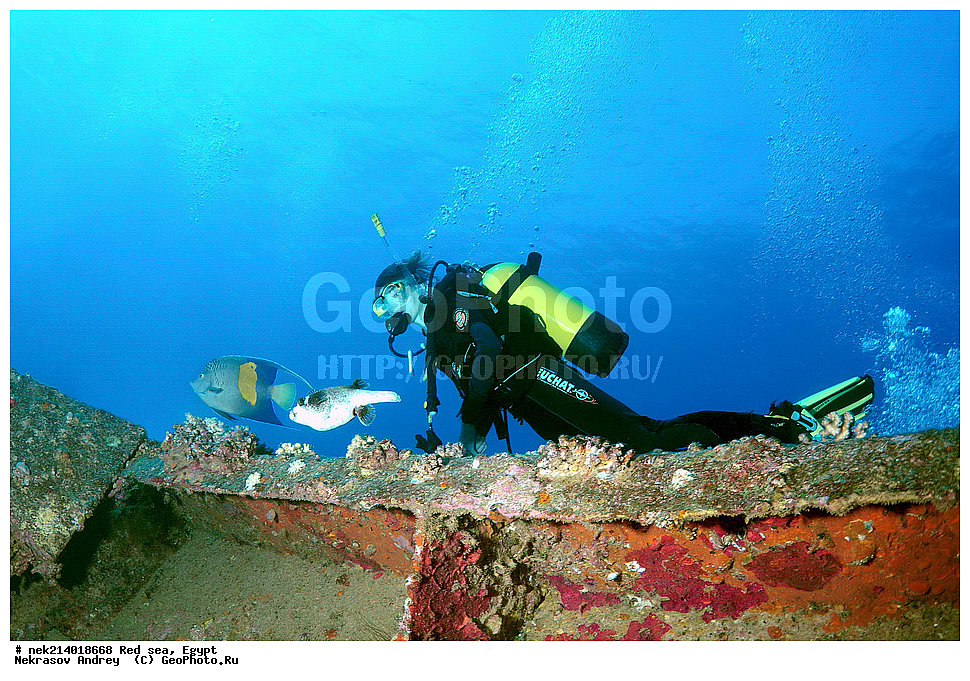 ������, ������� ����, ��������� ���, ���������, ���������, ��� �����, ����, �������, ���������, ����, �����, ������� ����, ����������, �����, ���, ���������������, ��������, �������, �����������, 2, ������, �������, �����, �������, ���������� �����, �����������