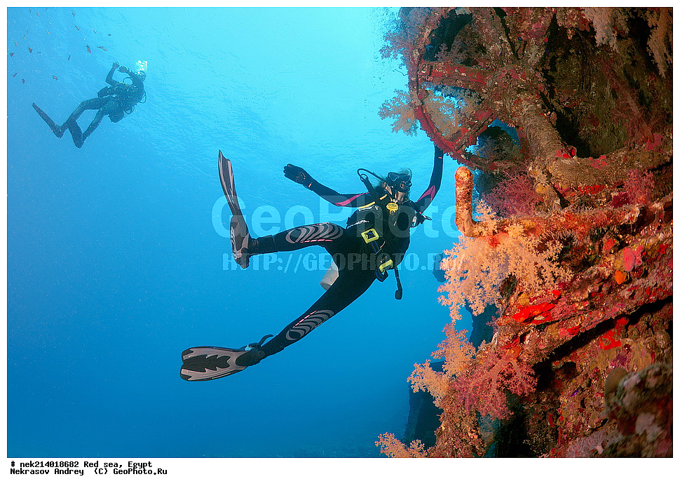 ������, ������� ����, ��������� ���, ���������, ���������, ��� �����, ����, �������, ���������, ����, �����, ������� ����, ���������� �����, ������, ��������, ���������, ����, �������, �����, ����� �� ����, �����, ����������, ����������, ����������, ���������� ������, �����������, ������������, �������, ���������������, �������, ��������,  ���, ���, ���-�������, ����, �����,   , ������ ��, ������ �