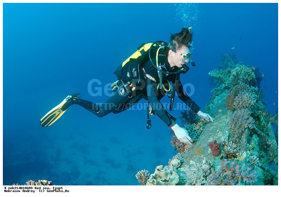 ������, ������� ����, ��������� ���, ���������, ���������, ��� �����, ����, �������, ���������, ����, �����, ������� ����, ���������� �����, ������, ��������, ���������, ����, �������, �����, ����� �� ����, �����, ����������, ����������, ����������, ���������� ������, �����������, ������������, �������, ���������������, �������, ��������,  ���, ���, ���-�������, ����, �����,   , ������ ��, ������ �