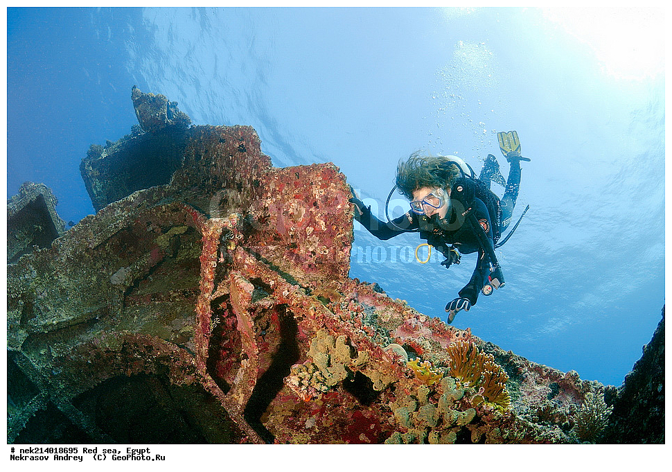 ������, ������� ����, ��������� ���, ���������, ���������, ��� �����, ����, �������, ���������, ����, �����, ������� ����, ���������� �����, ������, ��������, ���������, ����, �������, �����, ����� �� ����, �����, ����������, ����������, ����������, ���������� ������, �����������, ������������, �������, ���������������, �������, ��������,  ���, ���, ���-�������, ����, �����,   , ������ ��, ������ �