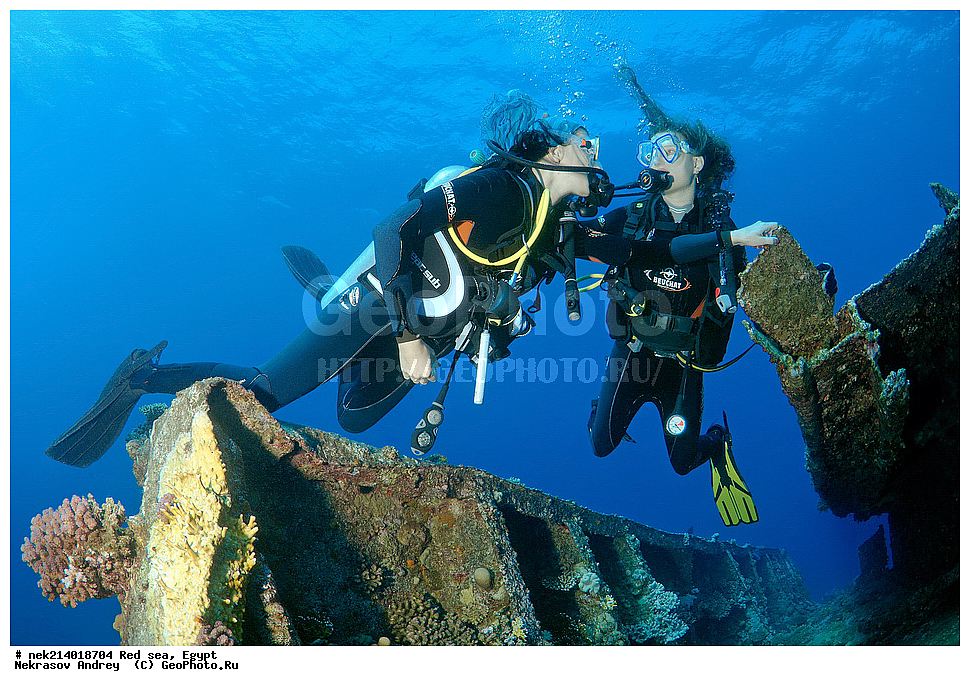 ������, ������� ����, ��������� ���, ���������, ���������, ��� �����, ����, �������, ���������, ����, �����, ������� ����, ���������� �����, ������, ��������, ���������, ����, �������, �����, ����� �� ����, �����, ����������, ����������, ����������, ���������� ������, �����������, ������������, �������, ���������������, �������, ��������,  ���, ���, ���-�������, ����, �����,   , ������ ��, ������ �