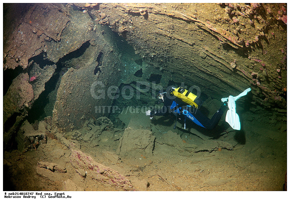 ������, ������� ����, ��������� ���, ���������, ���������, ��� �����, ����, �������, ���������, ����, �����, ������� ����, ���������� �����, ������, ��������, ���������, ����, �������, �����, ����� �� ����, �����, ����������, ����������, ����������, ���������� ������, �����������, ������������, �������, ���������������, �������, ��������,  ���, ���, ���-�������, ����, �����,   , ����������, �������, ��������