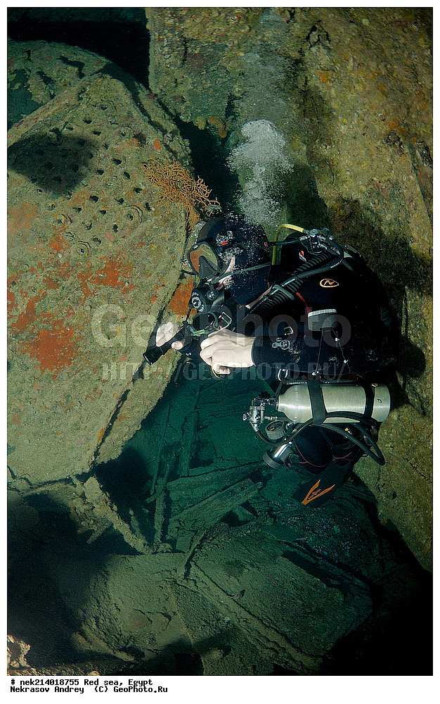 ������, ������� ����, ��������� ���, ���������, ���������, ��� �����, ����, �������, ���������, ����, �����, ������� ����, ���������� �����, ������, ��������, ���������, ����, �������, �����, ����� �� ����, �����, ����������, ����������, ����������, ���������� ������, �����������, ������������, �������, ���������������, �������, ��������,  ���, ���, ���-�������, ����, �����,   , ����������, �������, ��������