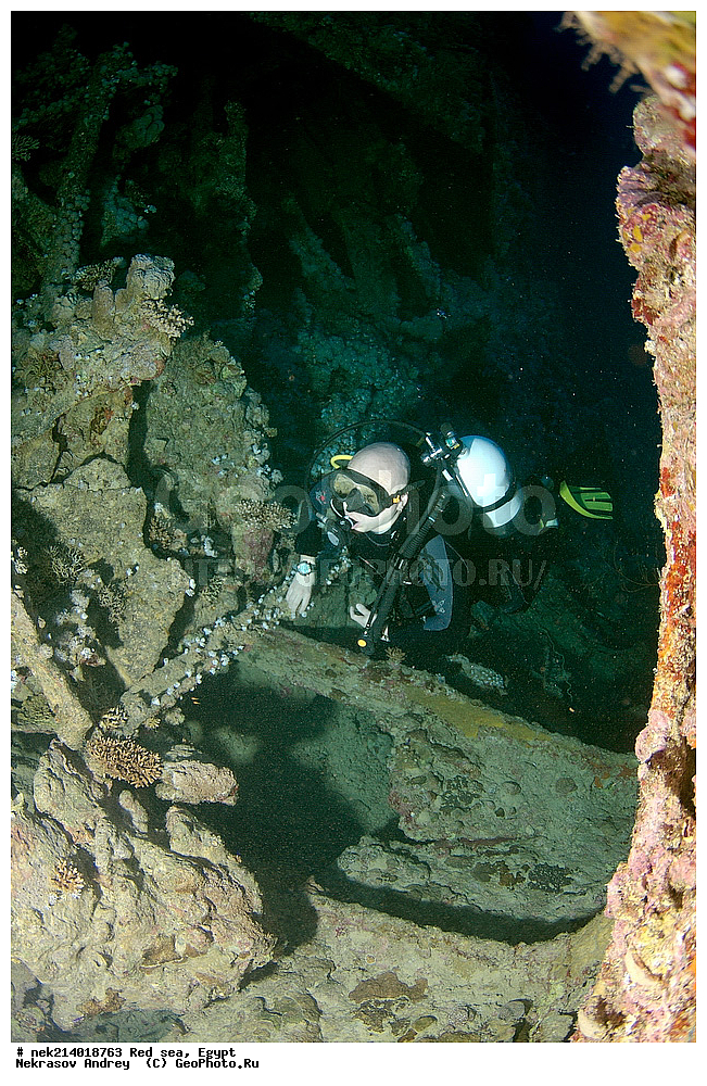 ������, ������� ����, ��������� ���, ���������, ���������, ��� �����, ����, �������, ���������, ����, �����, ������� ����, ���������� �����, ������, ��������, ���������, ����, �������, �����, ����� �� ����, �����, ����������, ����������, ����������, ���������� ������, �����������, ������������, �������, ���������������, �������, ��������,  ���, ���, ���-�������, ����, �����,   , ����������, �������, ��������