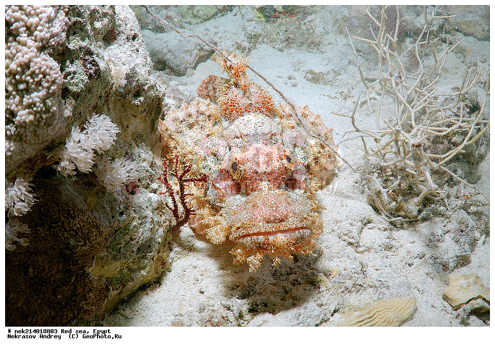 ������, ������� ����, ��������� ���, ���������, ���������, ��� �����, ����, �������, ���������, ����, �����, ������� ����, ����, ��������