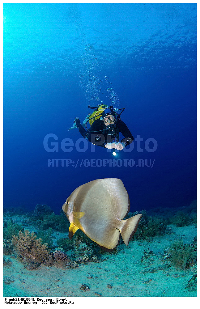 ������, ������� ����, ��������� ���, ���������, ���������, ��� �����, ����, �������, ���������, ����, �����, ������� ����, �������