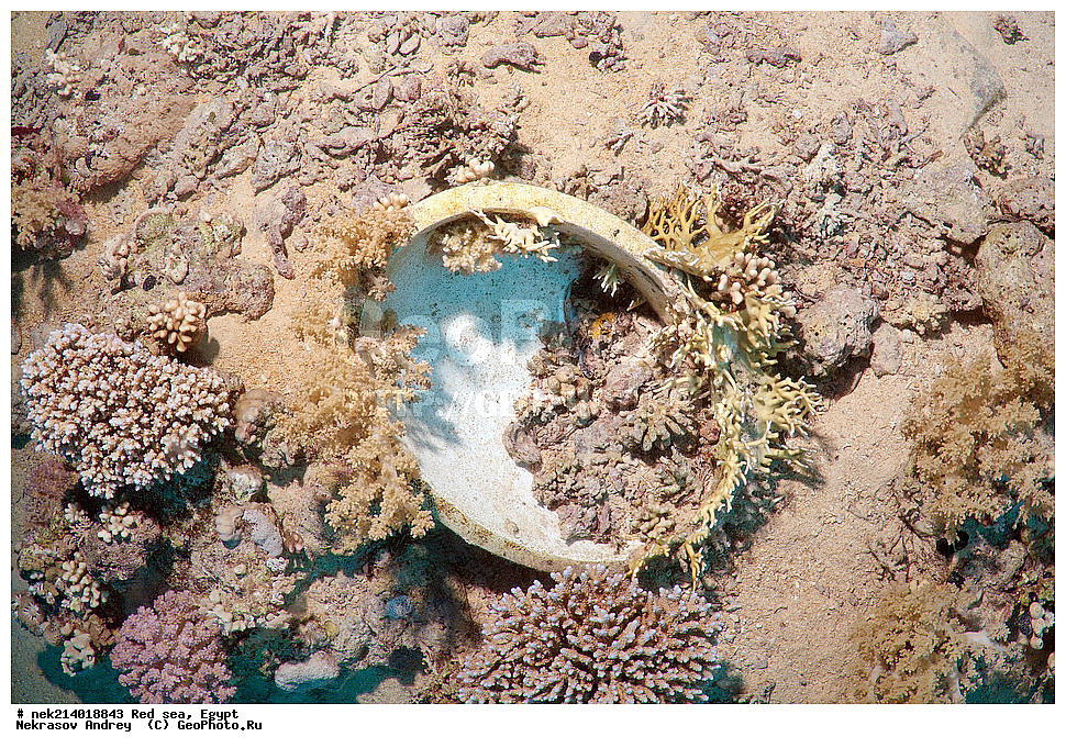 ������, ������� ����, ��������� ���, ���������, ���������, ��� �����, ����, �������, ���������, ����, �����, ������� ����,  ���, ��������, ������������, ����, ��������� ����������, ����-���- ����, ������� ����, ������, ������, ���������� �����, ������, ��������, ���������, ����, �������, �����, ����� �� ����, �����, ����������, ����������, ����������, ���������� ������, �����������, ������������, �������, ���������������, �������, ��������,  ���, ���, ���-�������, ����, �����,  