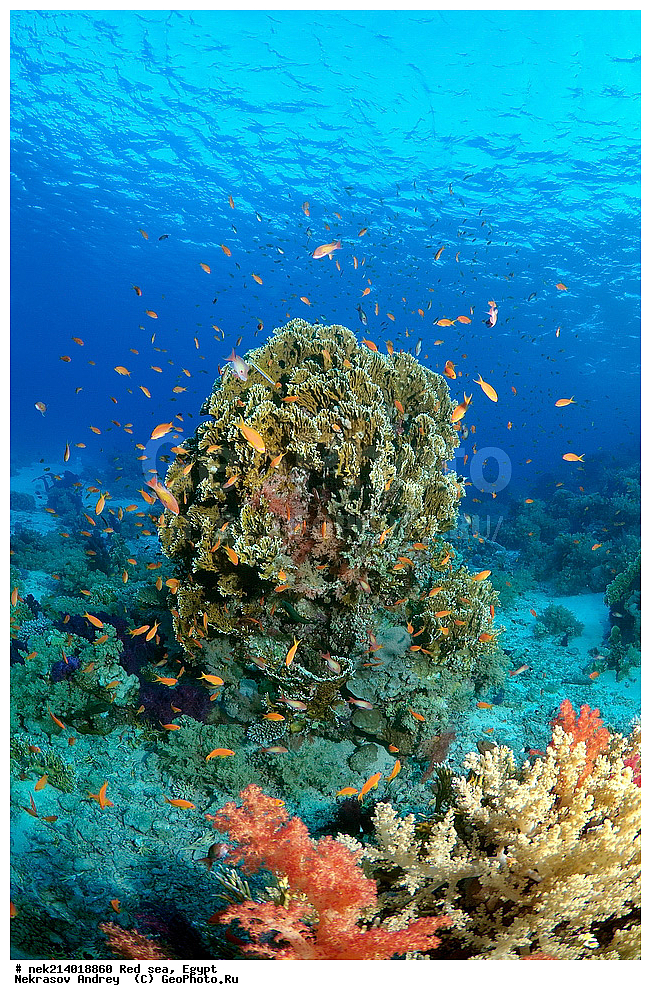 ������, ������� ����, ��������� ���, ���������, ���������, ��� �����, ����, �������, ���������, ����, �����, ������� ����, ����������, ���, ������, �������, ������, ��������