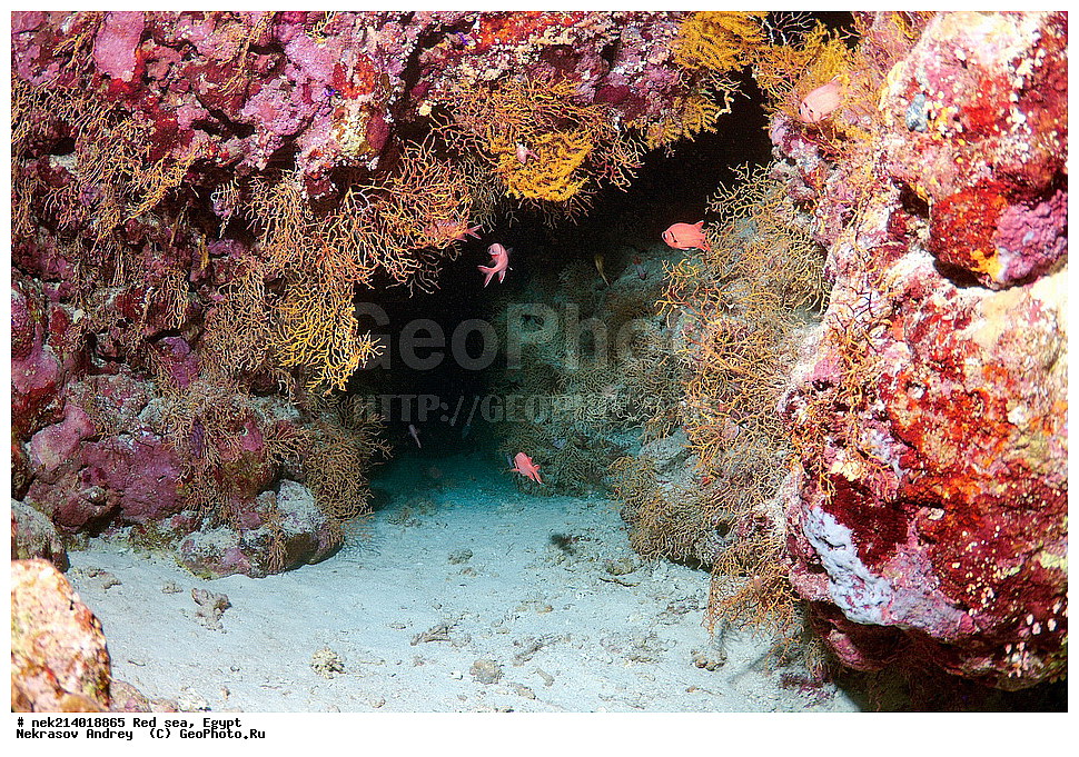 ������, ������� ����, ��������� ���, ���������, ���������, ��� �����, ����, �������, ���������, ����, �����, ������� ����