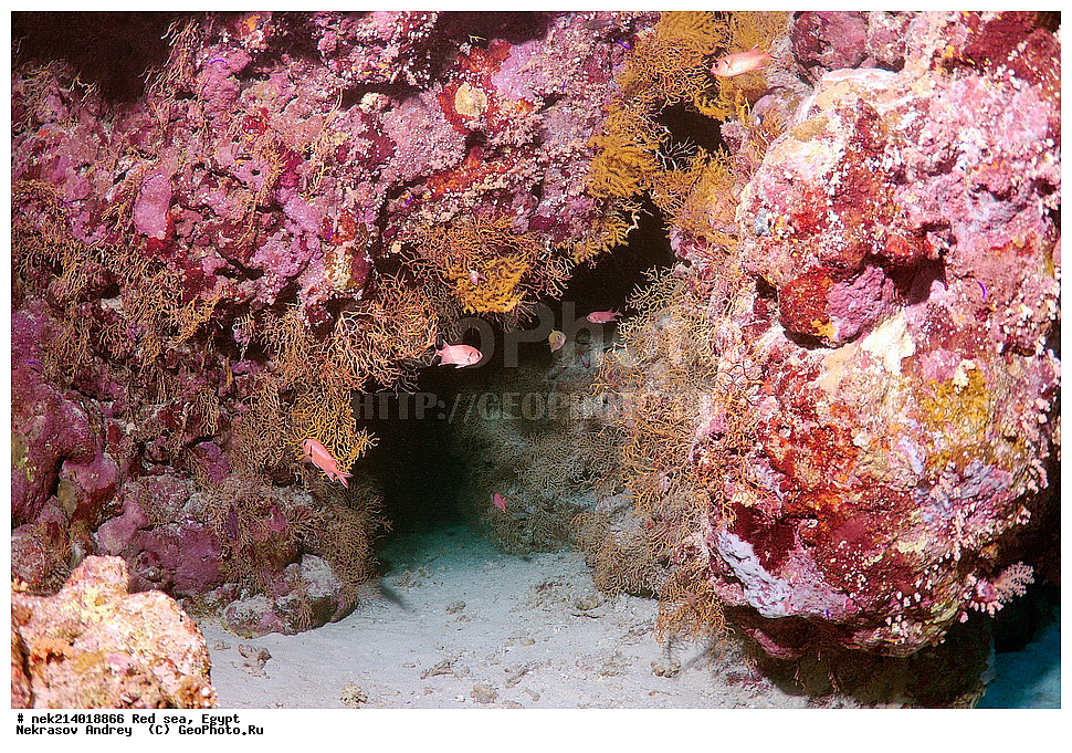 ������, ������� ����, ��������� ���, ���������, ���������, ��� �����, ����, �������, ���������, ����, �����, ������� ����