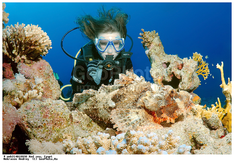 ������, ������� ����, ��������� ���, ���������, ���������, ��� �����, ����, �������, ���������, ����, �����, ������� ����, ����, ��������