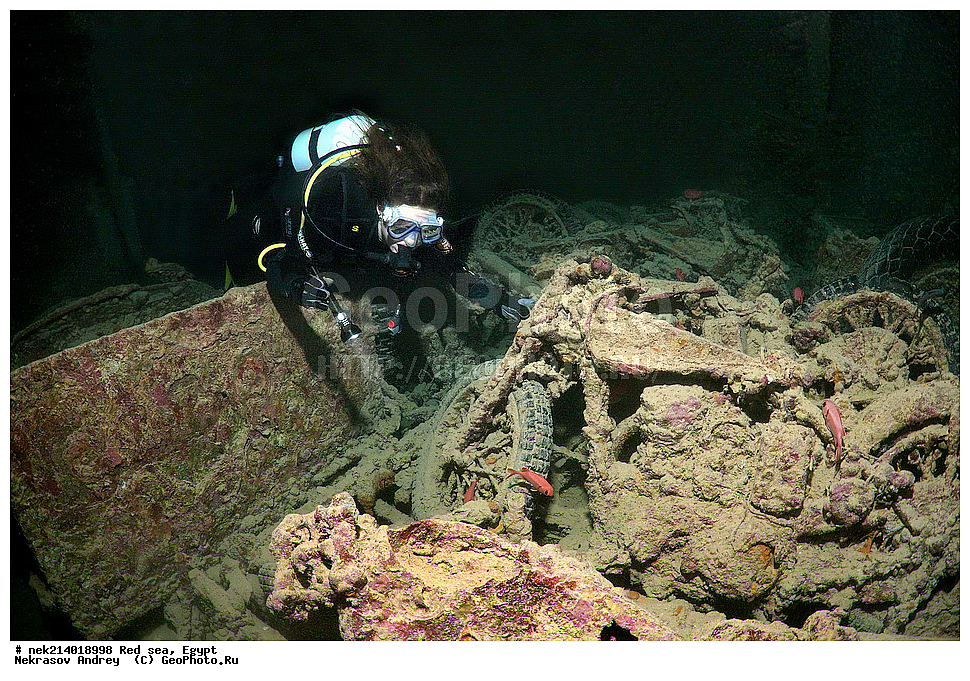 ������, ������� ����, ��������� ���, ���������, ���������, ��� �����, ����, �������, ���������, ����, �����, ������� ����, ����������, �����, ���, ���������������, ��������, �������, �����������, 2, ������, �������, �����, �������, ������, 16H, ��������, ����, ���������, ���������� �����