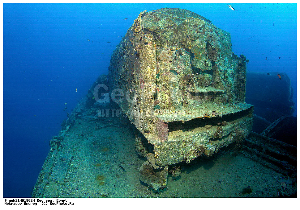 ������, ������� ����, ��������� ���, ���������, ���������, ��� �����, ����, �������, ���������, ����, �����, ������� ����, ����������, �����, ���, ���������������, ��������, �������, �����������, 2, ������, �������, �����, �������, ���������������, �����, ���������� �����