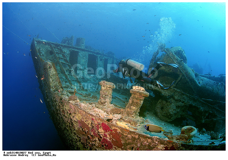 ������, ������� ����, ��������� ���, ���������, ���������, ��� �����, ����, �������, ���������, ����, �����, ������� ����, ����������, �����, ���, ���������������, ��������, �������, �����������, 2, ������, �������, �����, �������, ���������� �����