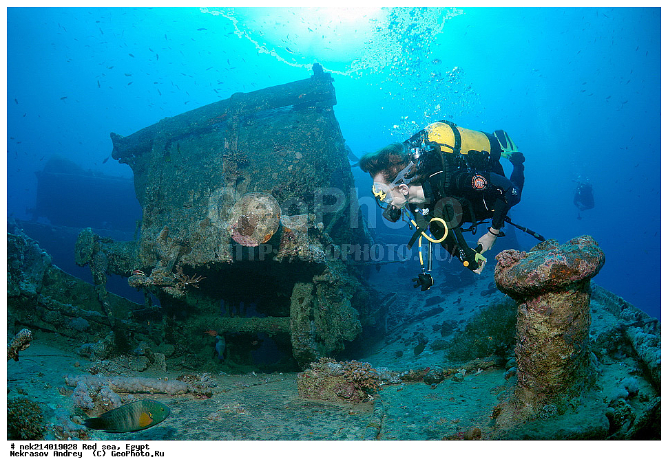 ������, ������� ����, ��������� ���, ���������, ���������, ��� �����, ����, �������, ���������, ����, �����, ������� ����, ����������, �����, ���, ���������������, ��������, �������, �����������, 2, ������, �������, �����, �������, ���������������, �����, ���������� �����