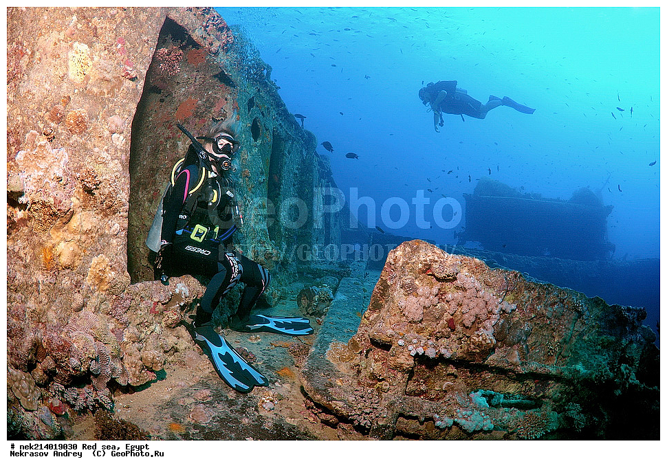 ������, ������� ����, ��������� ���, ���������, ���������, ��� �����, ����, �������, ���������, ����, �����, ������� ����, ����������, �����, ���, ���������������, ��������, �������, �����������, 2, ������, �������, �����, �������, ���������� �����