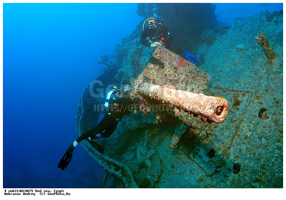 ������, ������� ����, ��������� ���, ���������, ���������, ��� �����, ����, �������, ���������, ����, �����, ������� ����, ����������, �����, ���, ���������������, ��������, �������, �����������, 2, ������, �������, �����, �������, �����, ������, �����������, ��������, ����������, �����, ���������, ������, ���������� �����