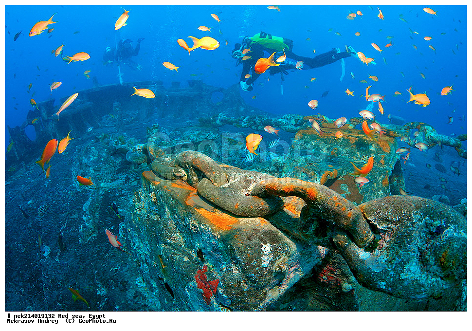 ������, ������� ����, ��������� ���, ���������, ���������, ��� �����, ����, �������, ���������, ����, �����, ������� ����, ����������, �����, ���, ���������������, ��������, �������, �����������, 2, ������, �������, �����, �������, ���������� �����