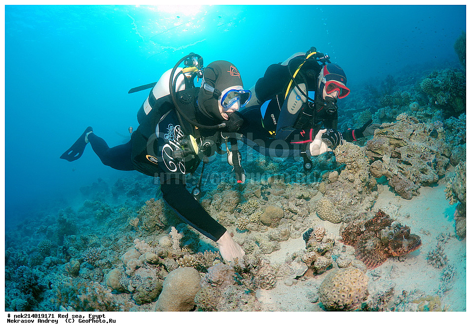 ������, ������� ����, ��������� ���, ���������, ���������, ��� �����, ����, �������, ���������, ����, �����, ������� ����, ����, ��������