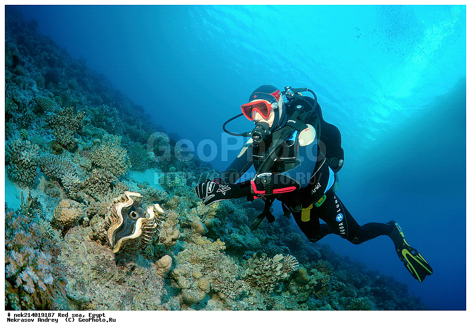 ������, ������� ����, ��������� ���, ���������, ���������, ��� �����, ����, �������, ���������, ����, �����, ������� ����, �������, ��������