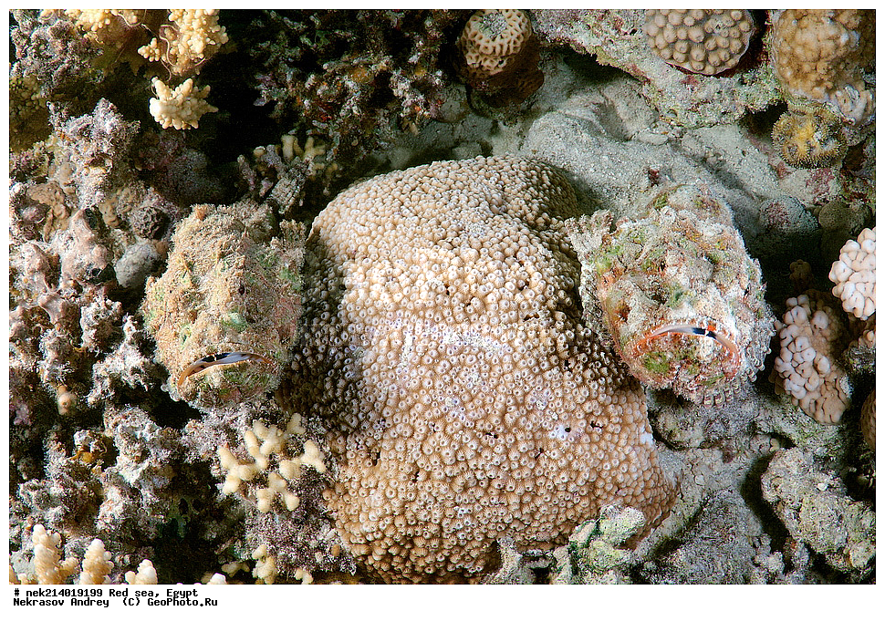 ������, ������� ����, ��������� ���, ���������, ���������, ��� �����, ����, �������, ���������, ����, �����, ������� ����, ������������, ����, ������