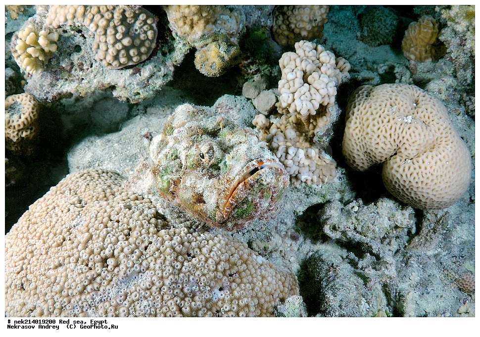 ������, ������� ����, ��������� ���, ���������, ���������, ��� �����, ����, �������, ���������, ����, �����, ������� ����, ������������, ����, ������