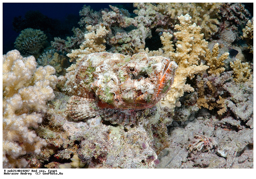 ������, ������� ����, ��������� ���, ���������, ���������, ��� �����, ����, �������, ���������, ����, �����, ������� ����, ������������, ����, ������