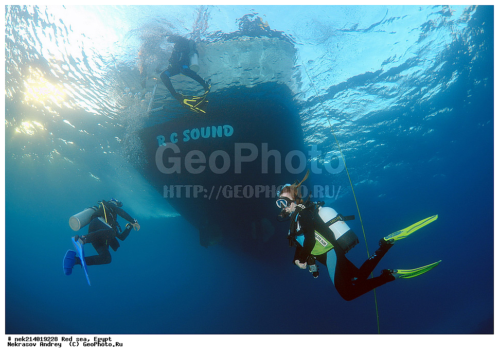 ������, ������� ����, ��������� ���, ���������, ���������, ��� �����, ����, �������, ���������, ����, �����, ������� ����,  ������, �����, �������